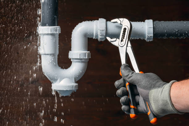 Professional Plumbing technician working in Lineville, AL